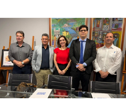 Reuniões de Planejamento
